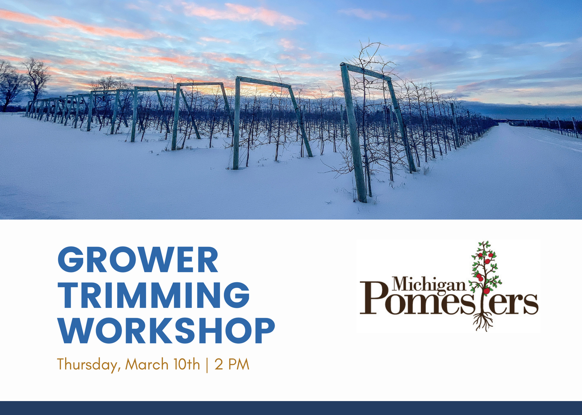 Growing Trimming Workshop